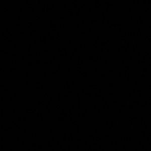 Meet your Posher, Benjamin